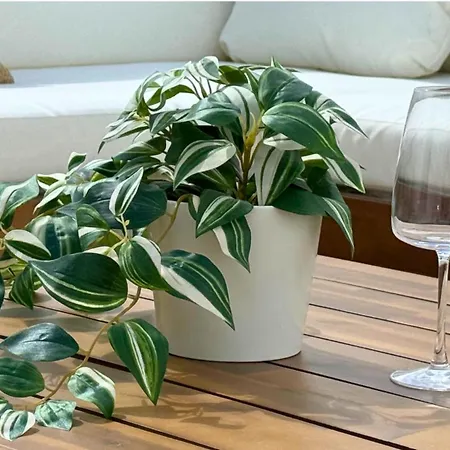 Olimpia Apartment Marzamemi